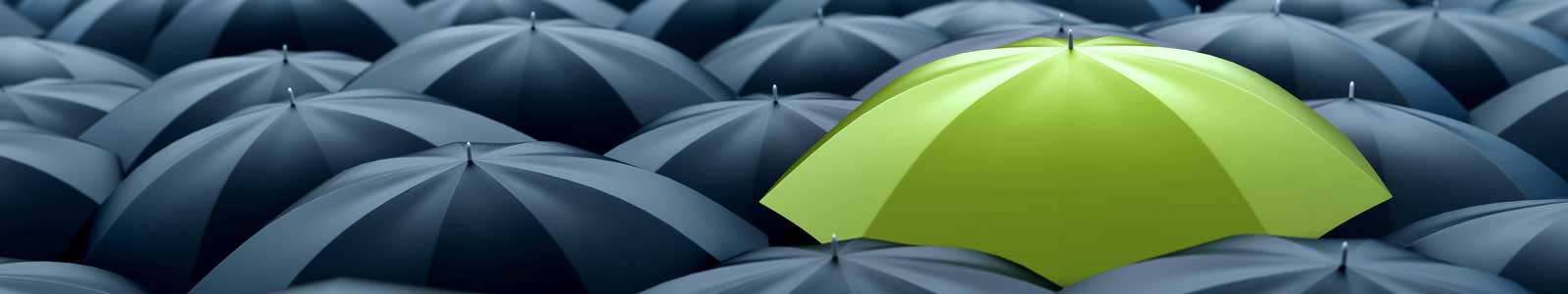 quality assurance services
