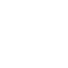 check-icon